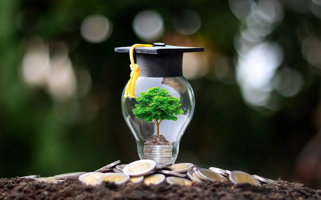 licence en développement durable