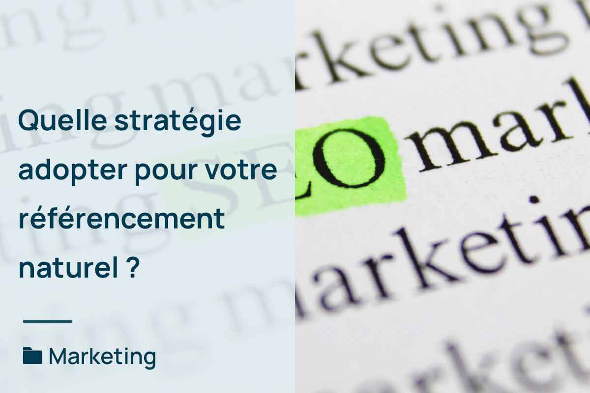 stratégie-référencement-naturel-(1)