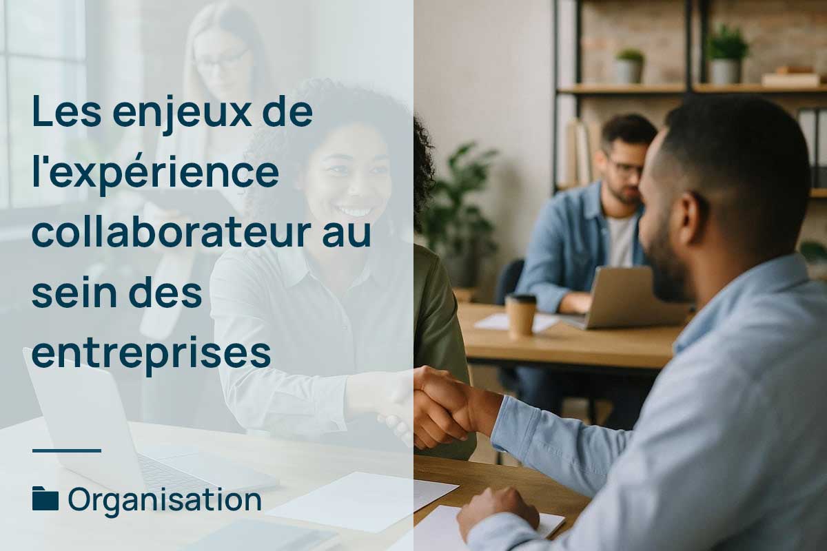 collaborateur-ent