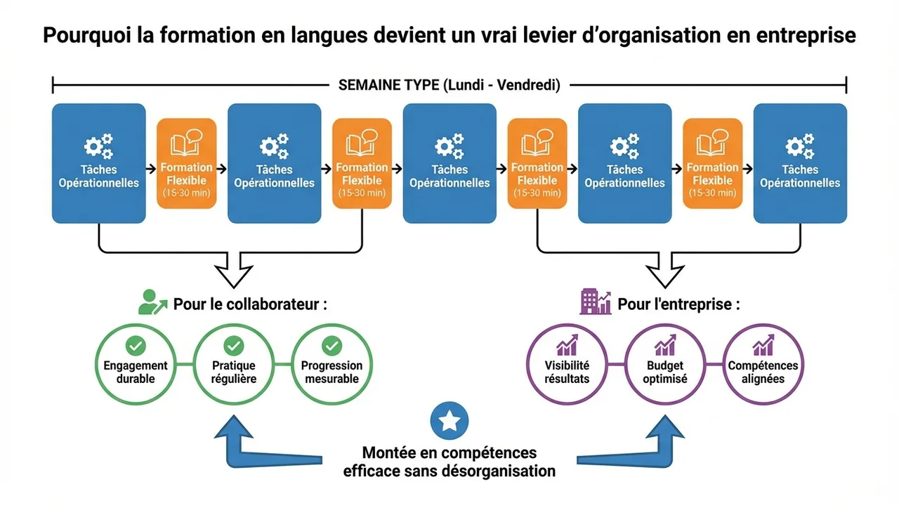 Graphique montrant l'articulation entre sessions courtes, ressources en autonomie et suivi pédagogique sans désorganiser l'activité.