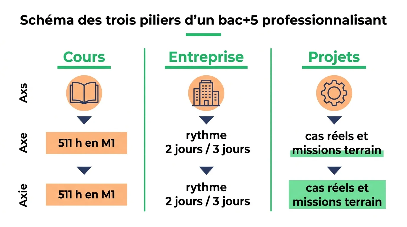 Schéma des trois piliers d'un bac+5 professionnalisant