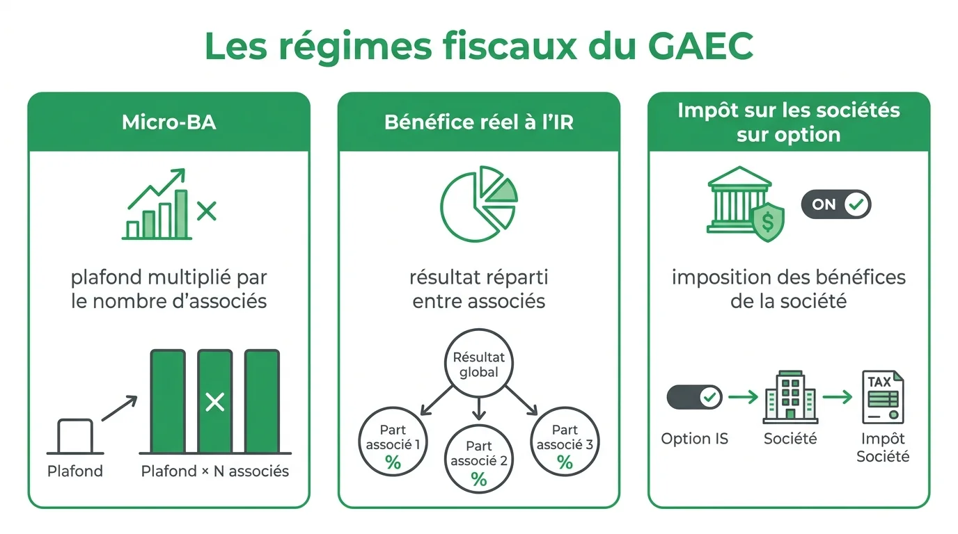 Les régimes fiscaux du GAEC